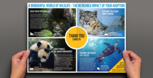 An image showing work that Consider did with WWF
