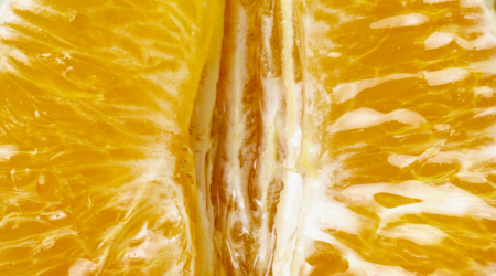 An image of the inside of an orange